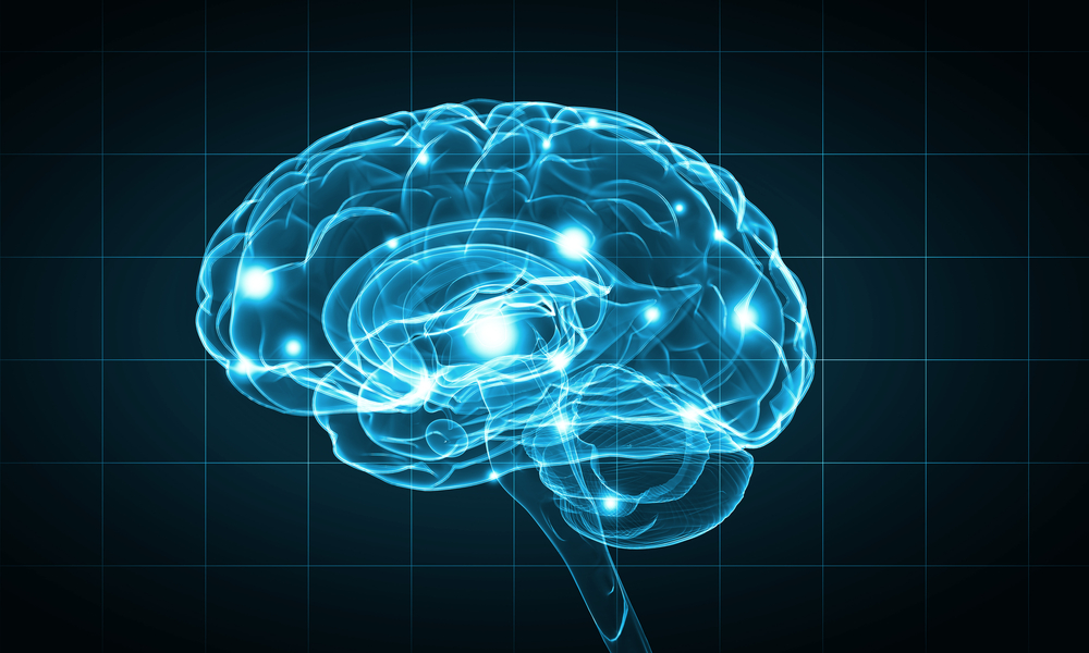 Digital rendering of human brain